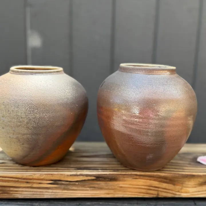Belinda Shastal 2026 work